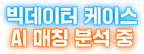 빅데이터 케이스 AI 매칭 분석중